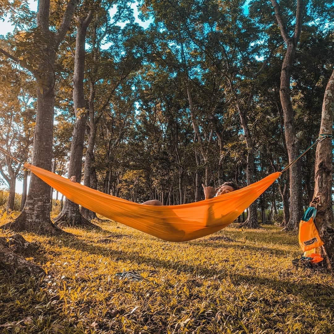 LOREYN HAMMOCK